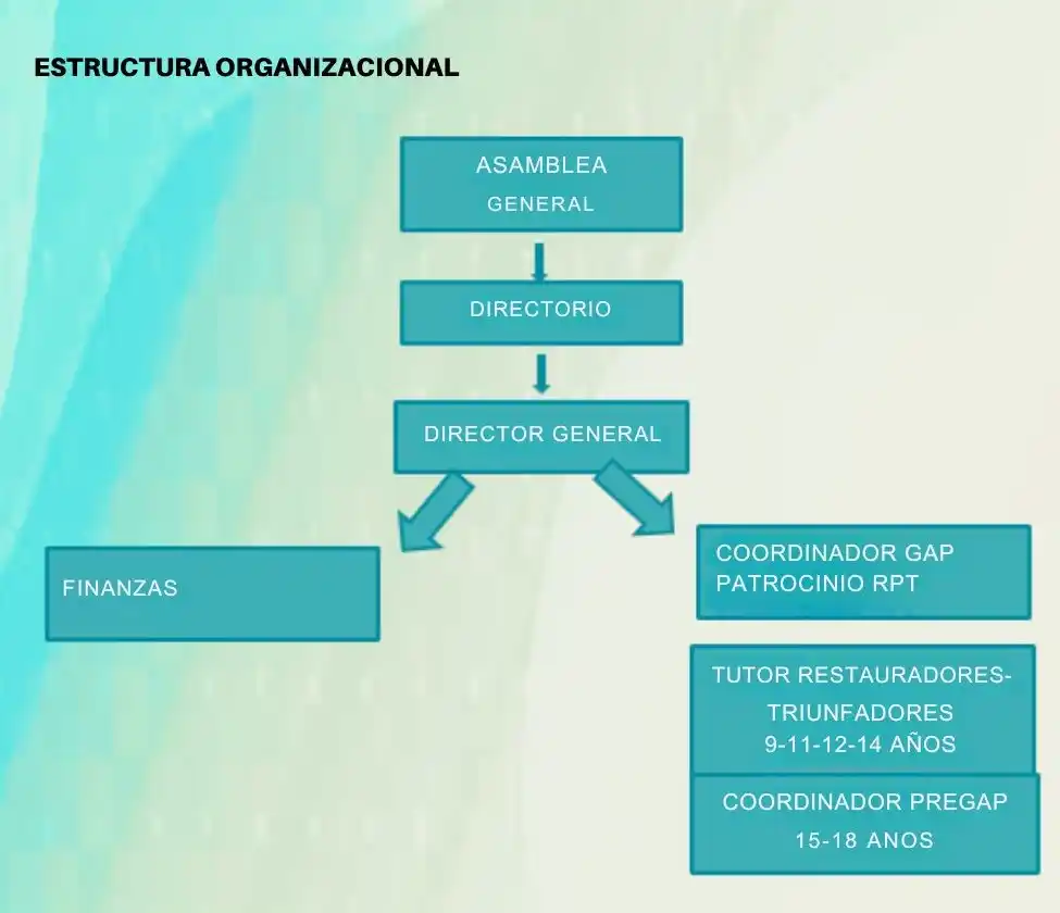 organizacion
